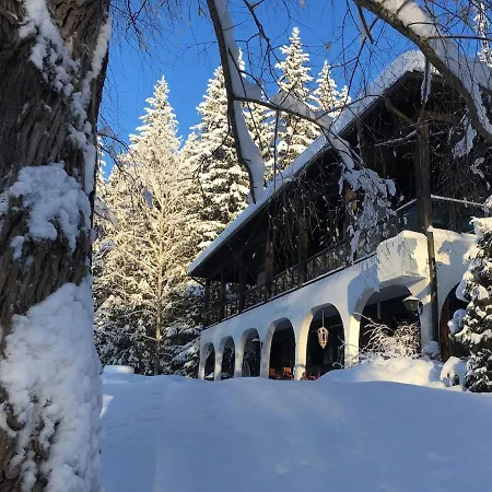 Holviranta فيلة *