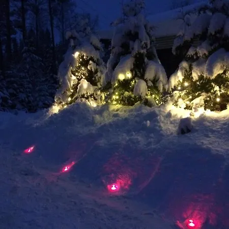 Holviranta فيلة Konnevesi