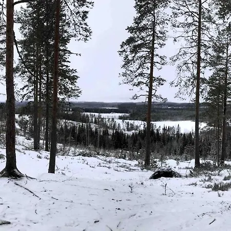 빌라 Holviranta Konnevesi