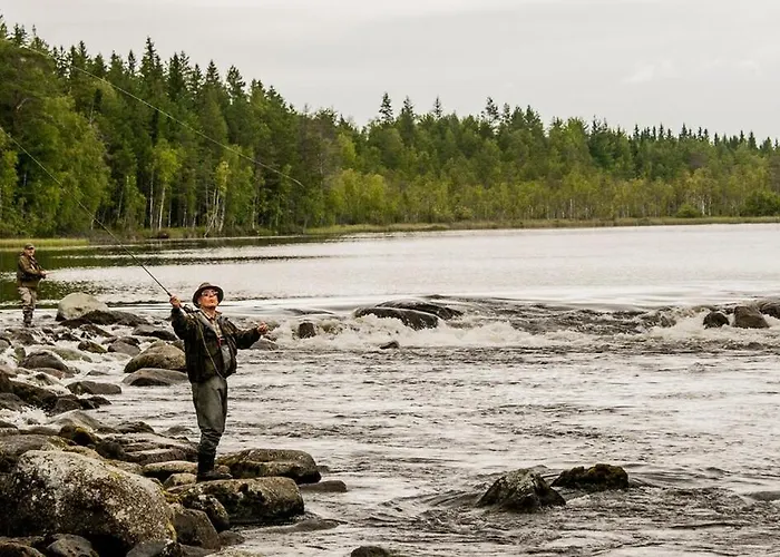 别墅 Holviranta Konnevesi