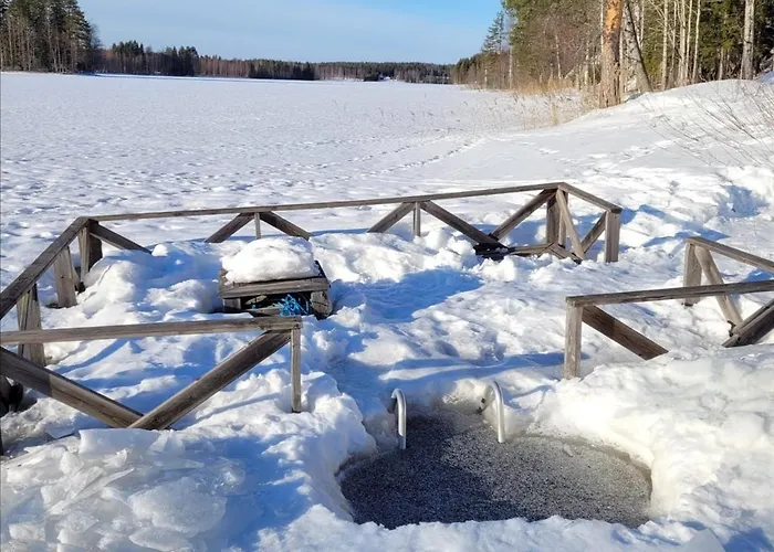 Holviranta 别墅 Konnevesi