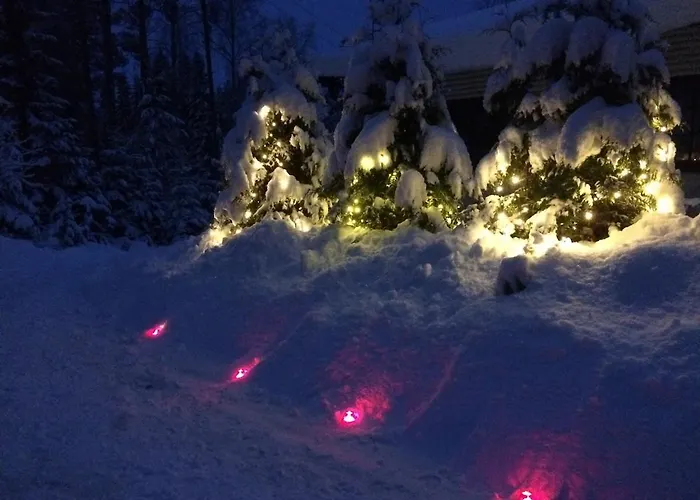 Holviranta 别墅 Konnevesi