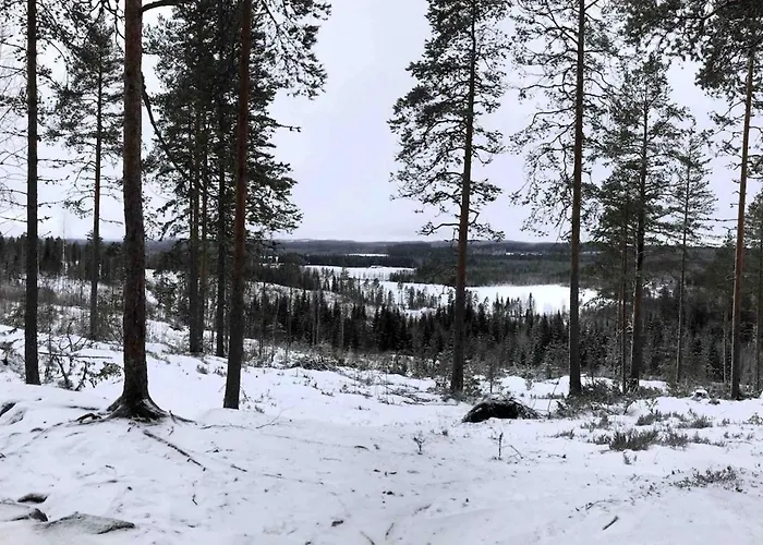 别墅 Holviranta Konnevesi